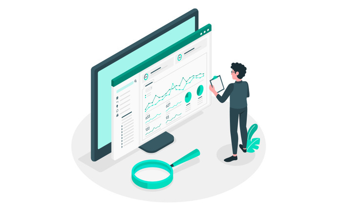 Business Analyst